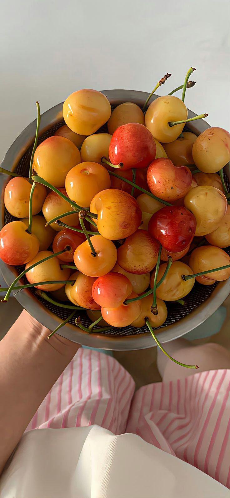 Harvest Medley: Sun-Ripened Field Treasures