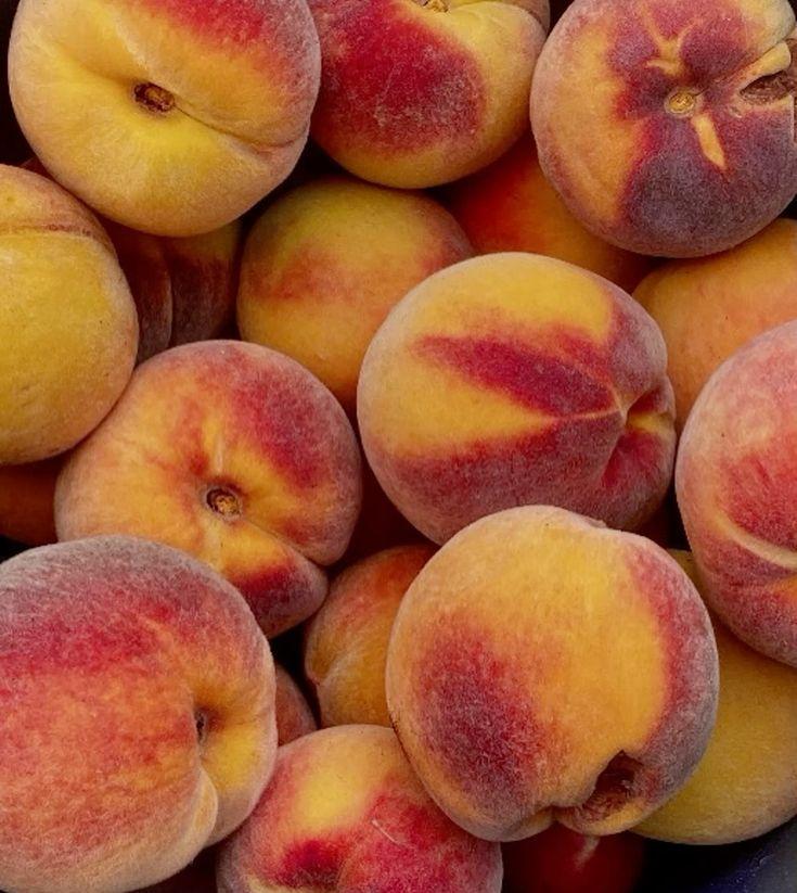 Berry Bonanza: Wild Flavors from Country Vines